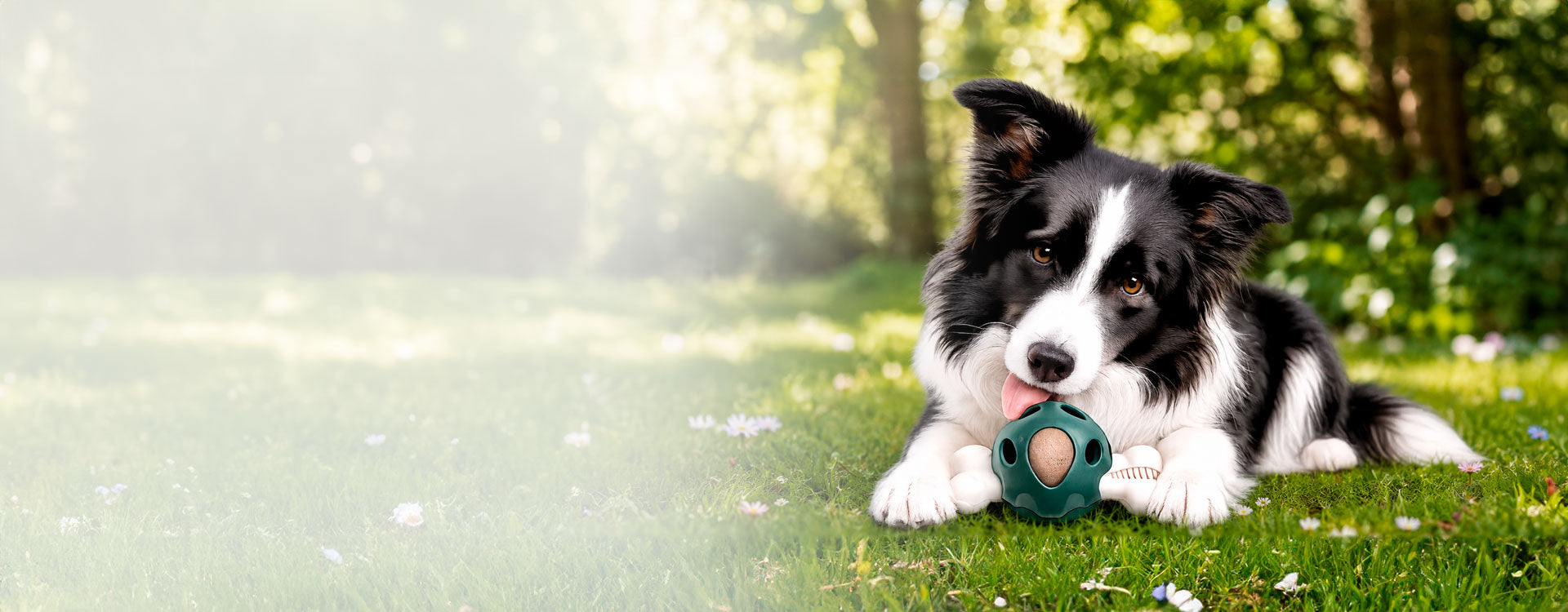 slider image 1621243260e1af0c20-0